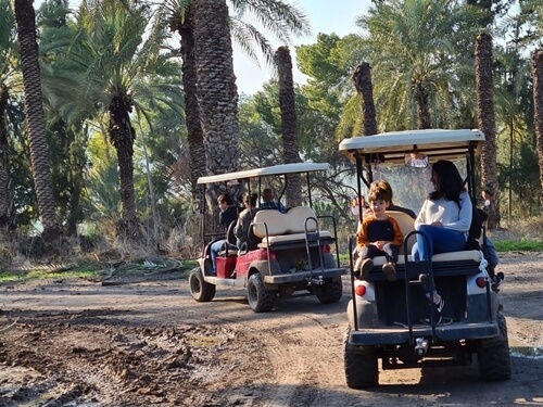 מרכבות הירדן